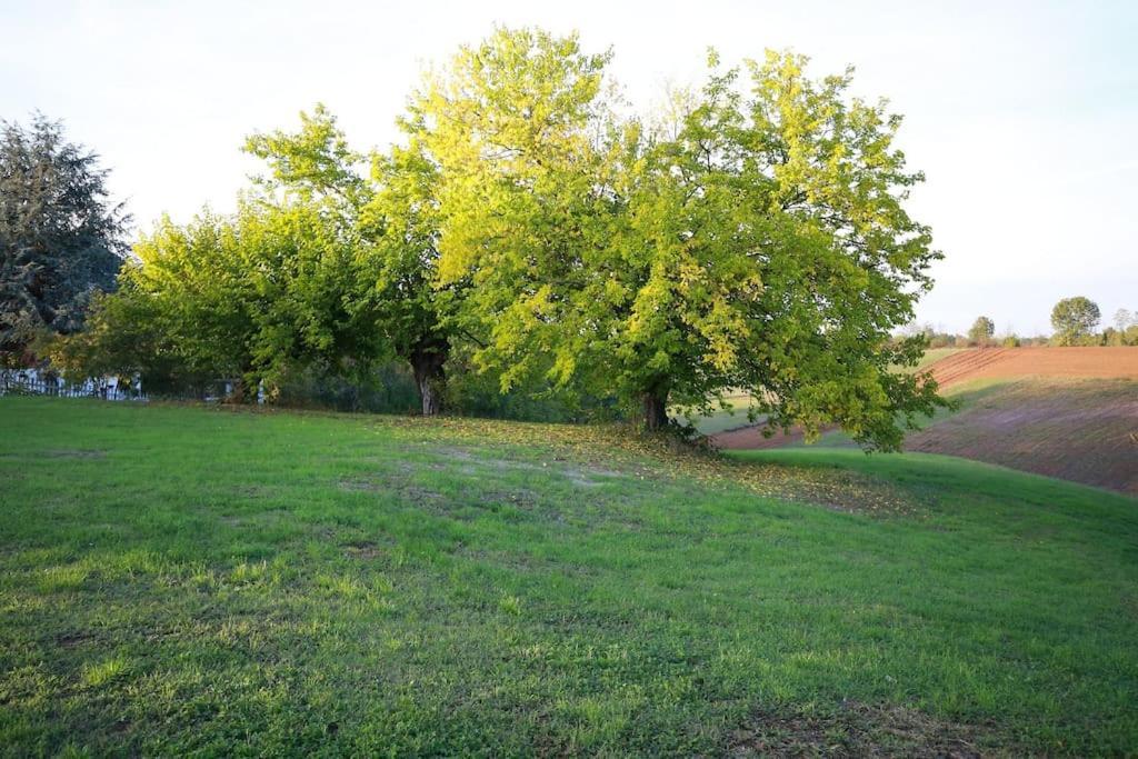 Villa Beatrice Pralormo Εξωτερικό φωτογραφία